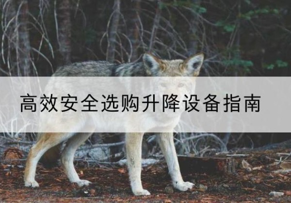 鄂托克前旗升降货梯厂家推荐-*安全选购升降设备指南