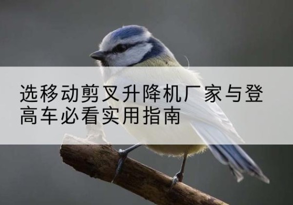 鄂托克前旗电动升降机厂家-选移动剪叉升降机厂家与登高车必看实用指南