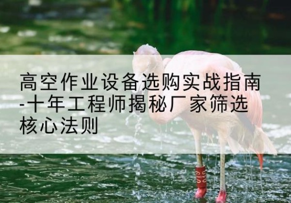 鄂托克前旗剪叉式升降机厂家-高空作业设备选购实战指南-十年工程师揭秘厂家筛选核心法则