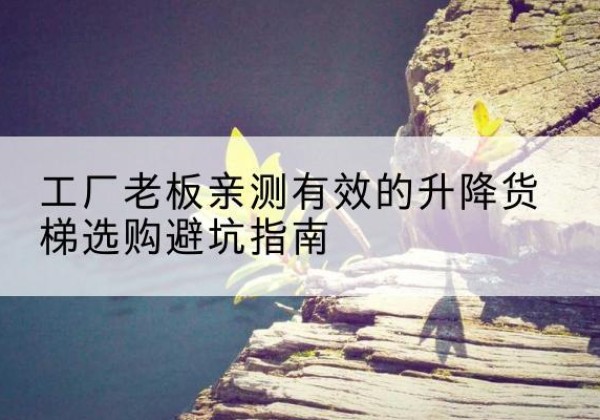鄂托克前旗升降货梯怎么选-工厂老板亲测有效的升降货梯选购避坑指南